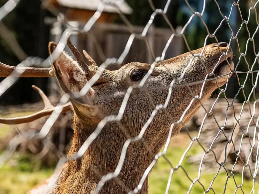 Utah Fencing agricultural fence - Deer Fence Hexagrid