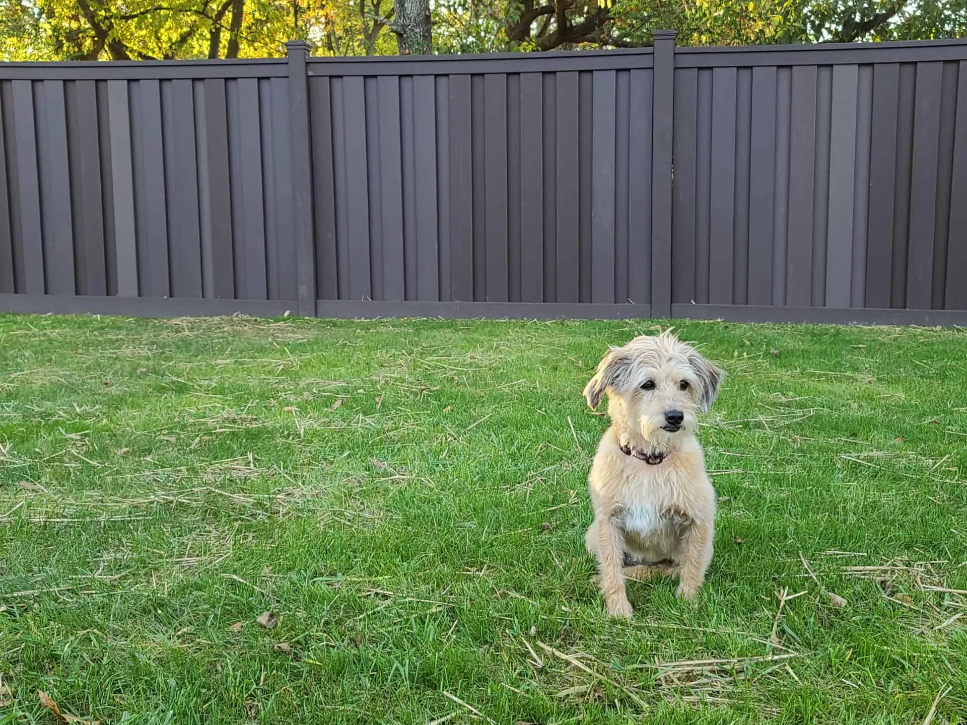 Utah Fencing Trex fence - Seclusions Dogs